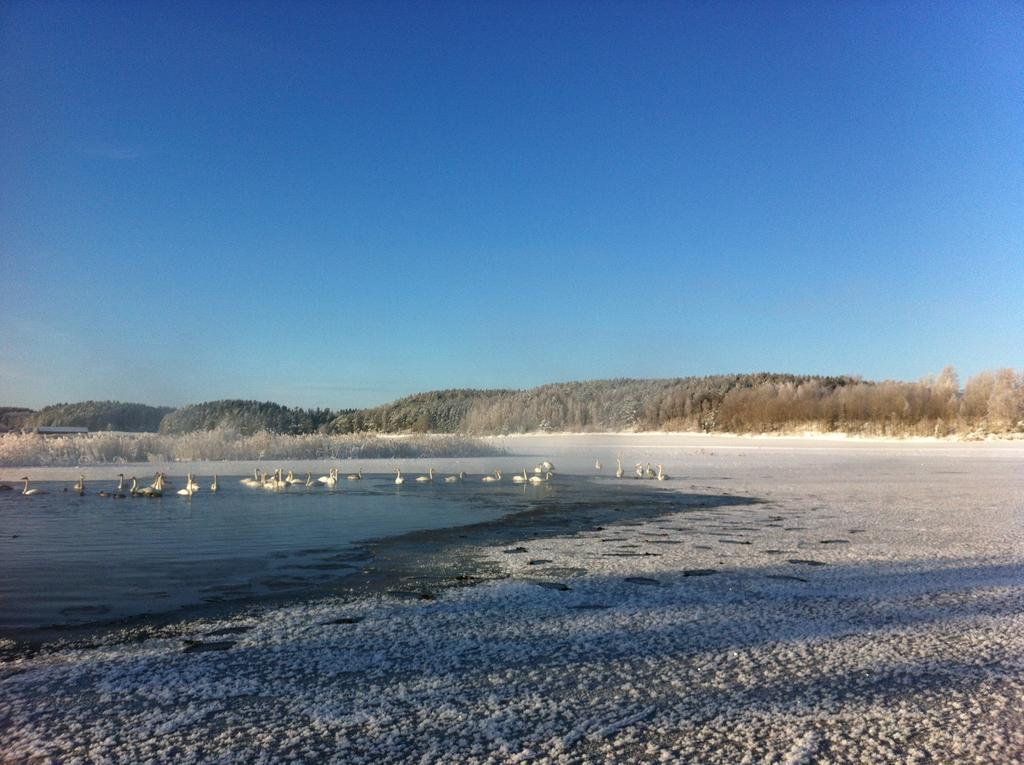 Runnvikens Pensionat Tystberga Luaran gambar